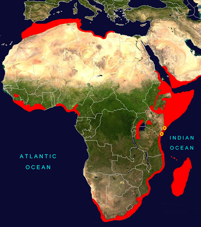 Map Africa Hotspots